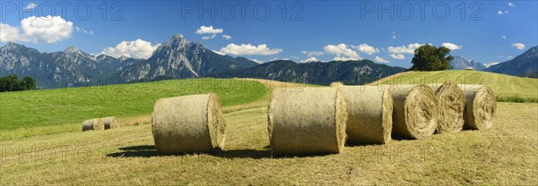 Bales on mowed meadow