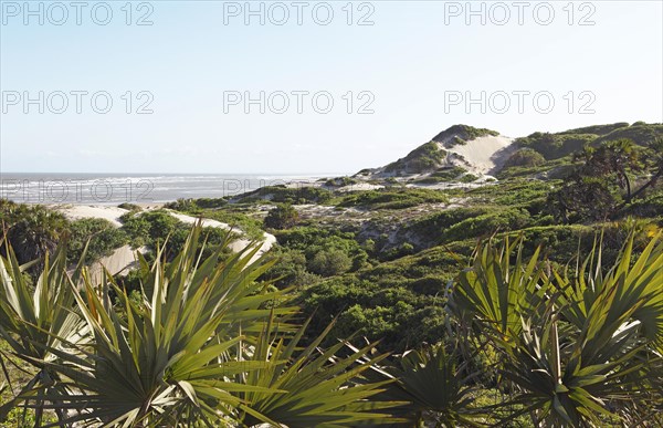 Dune landscape