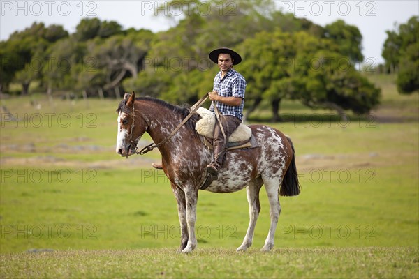 Gaucho on a Criollo horse
