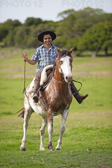 Gaucho on a Criollo horse