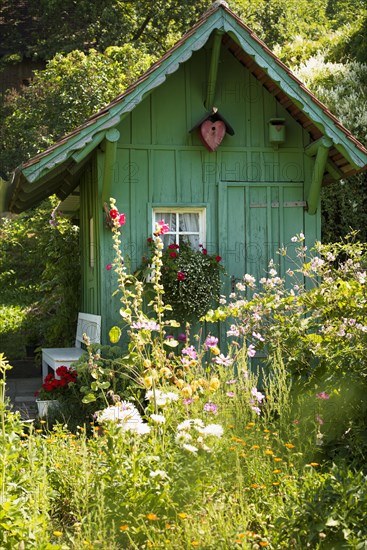 Garden shed and summer flower garden