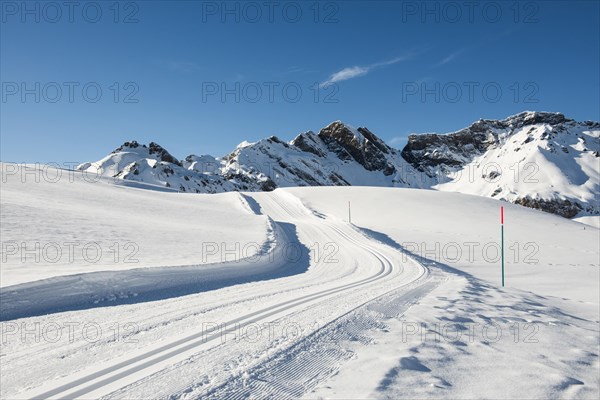 Cross-country skiing track and snow-covered landscape