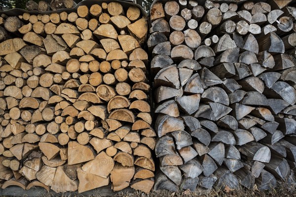 Stacked firewood