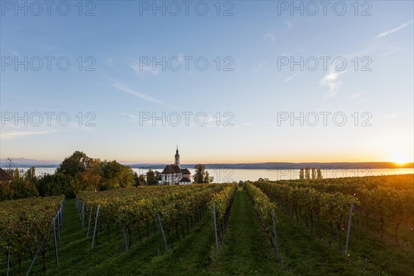 Pilgrimage church Birnau with vineyards in autumn