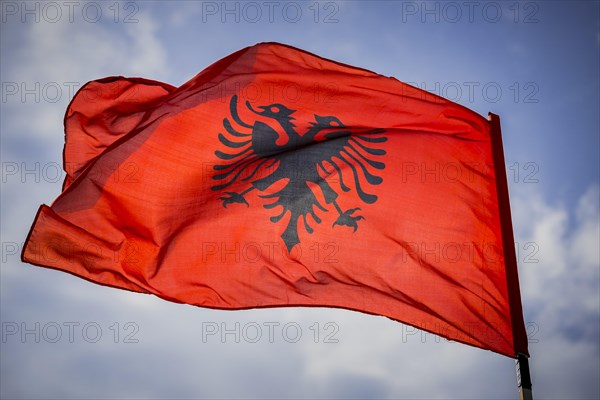 Waving Albanian flag with double eagle in front of blue sky