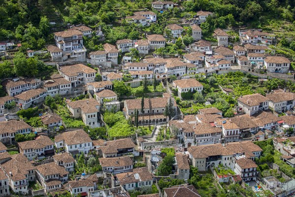 View on houses with old tiled roofs