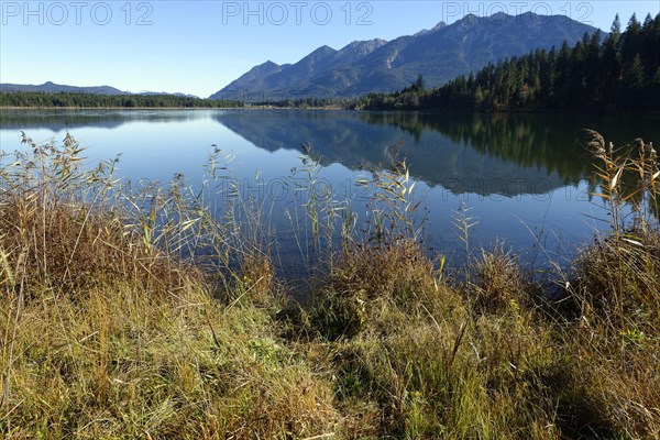 Barmsee