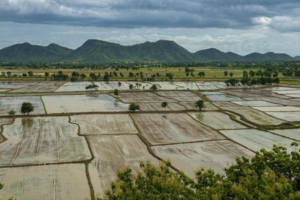 Rice fields from the temple complex