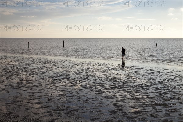 Person walking in the watt