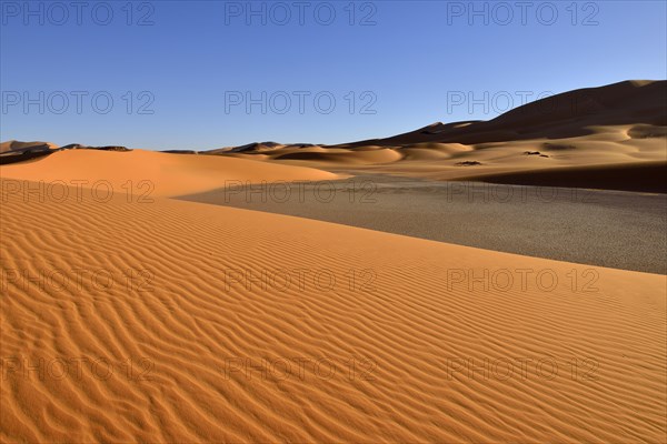 Sand dunes of In Djerane