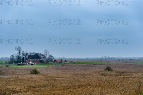 Farm in the march behind the Pilsum lighthouse