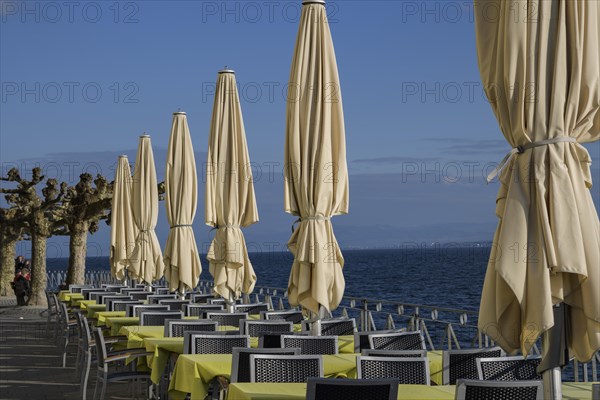 Parasols at lakeside Meersburg