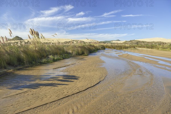 Access through a streambed to the beach Ninety Mile Beach between sand dunes