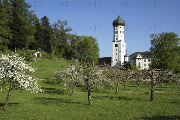 Monastery Church and Monastery Ursberg