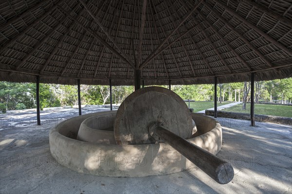 Ancient millstone in Las Terrazas