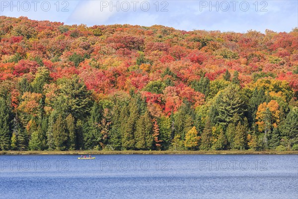 Canisbay Lake in Autumn