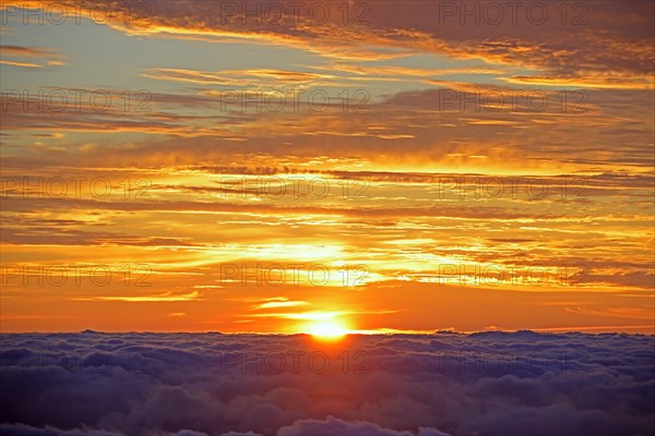 Sunrise over trade wind clouds