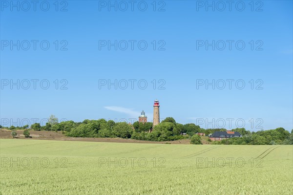 Grain field in front of Schinkel Tower and New Lighthouse