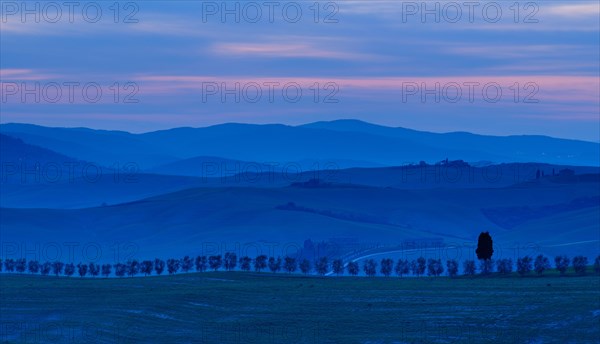 Typical Tuscan landscape at dusk