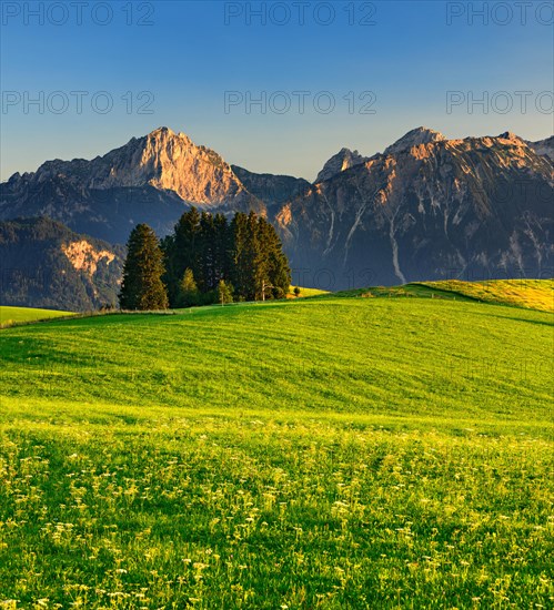 Mountain landscape