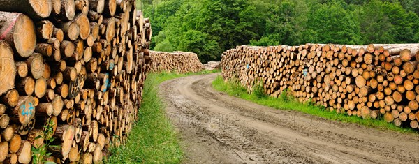 Large wood stacks on forest road