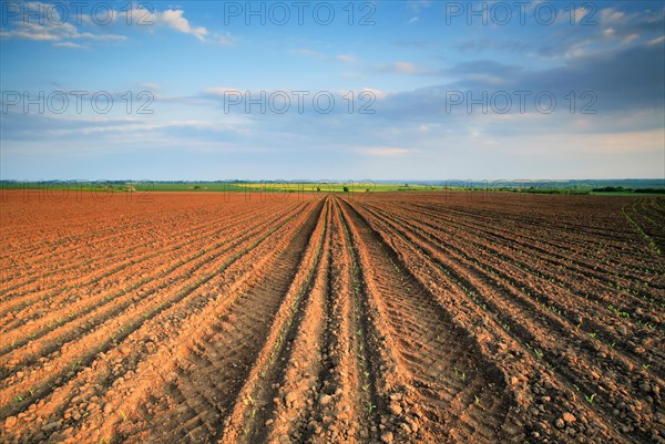 Furrows