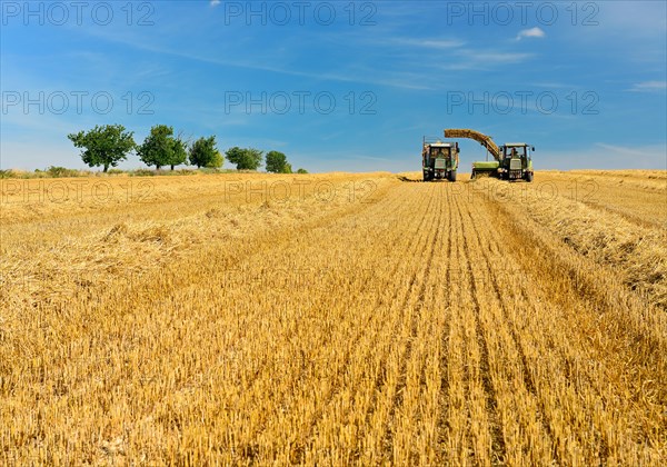 Bale press unloads straw bales onto tractor