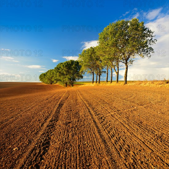 Ploughed and harrowed field