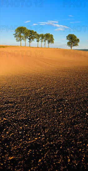 Ploughed and harrowed field