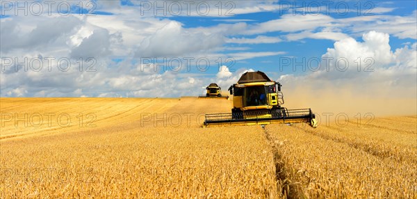Two combine harvesters in cornfield harvest Barley (Hordeum vulgare)