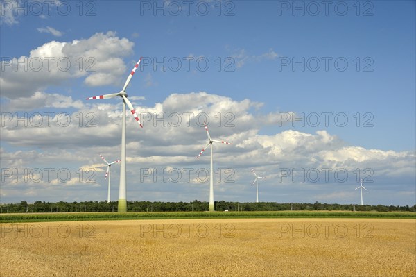 Windmills in between fields
