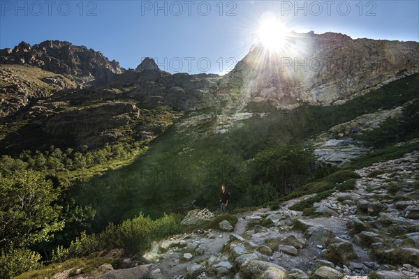 Hiker in Restonica high valley