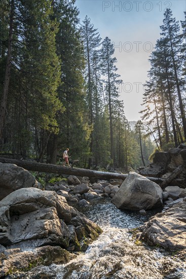 Young man crossing a tree trunk over the Merced River