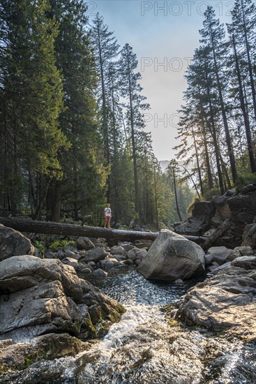 Young man crossing a tree trunk over the Merced River