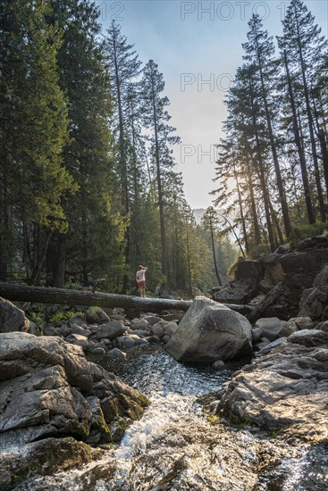 Young man crossing a tree trunk over the Merced River