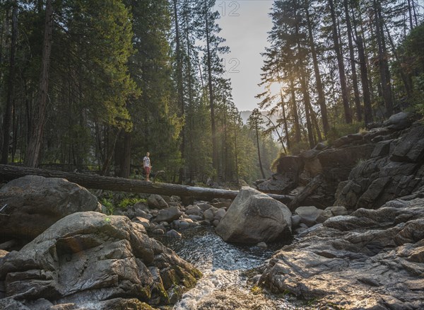 Young man crossing a tree trunk over the Merced River