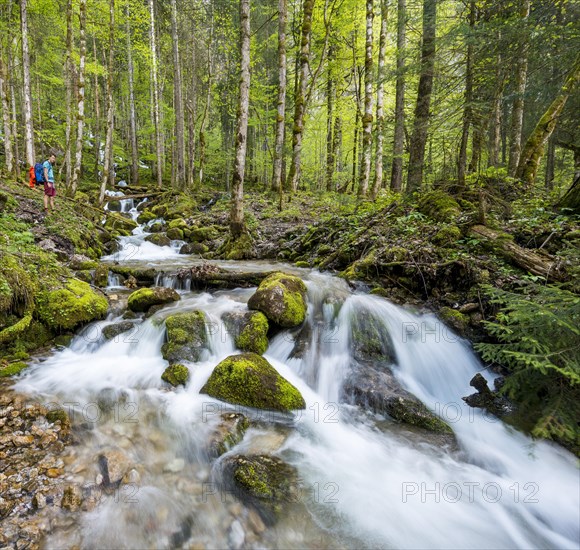 Young man by a creek