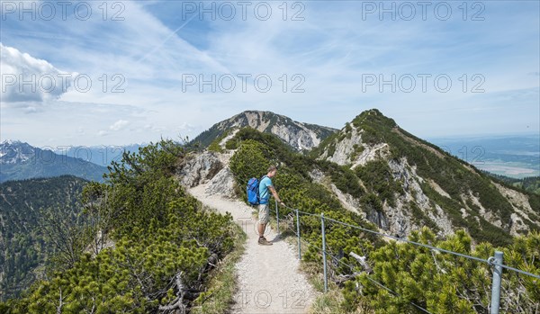 Hiker on trail