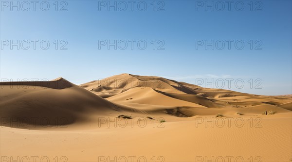 Sand dunes in the desert