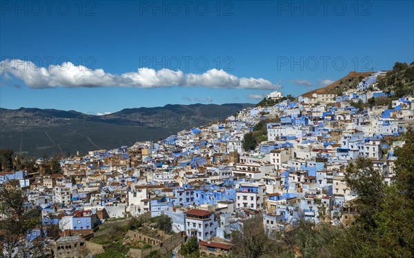 View on blue houses of the medina of Chefchaouen