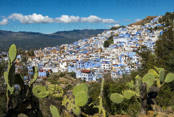 View on blue houses of the medina of Chefchaouen