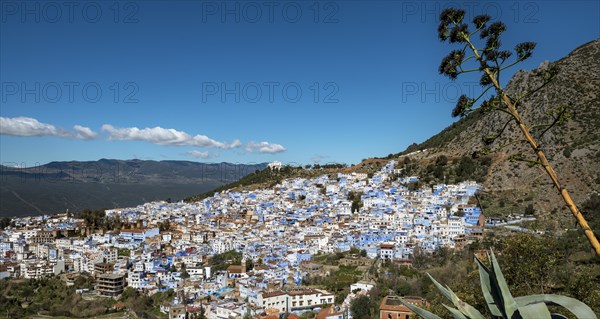 View on blue houses of the medina of Chefchaouen