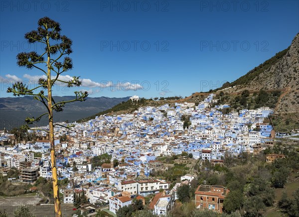 View on blue houses of the medina of Chefchaouen