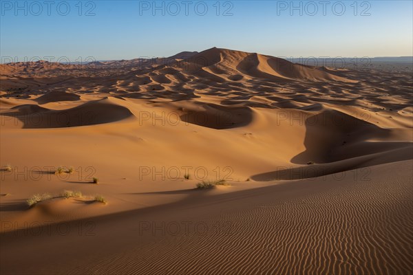 Sand dunes in the desert