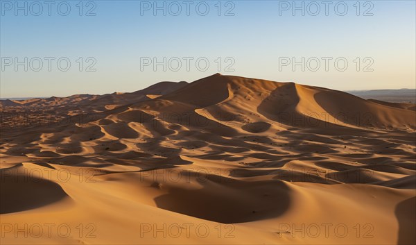 Sand dunes in the desert