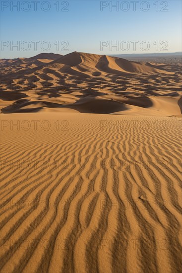 Sand dunes in the desert