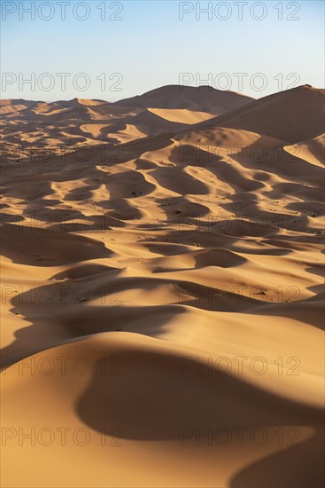 Sand dunes in the desert