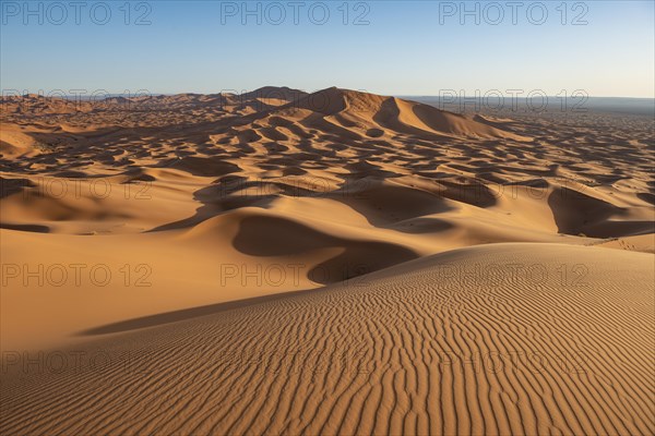 Sand dunes in the desert