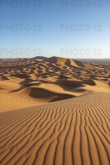 Sand dunes in the desert