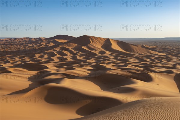 Sand dunes in the desert